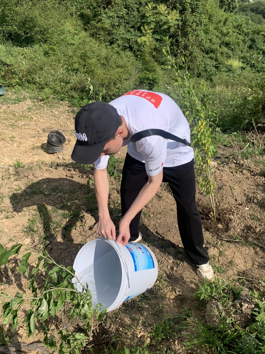義工植樹活動